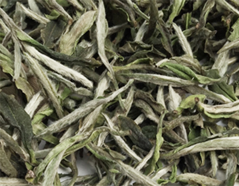 茶